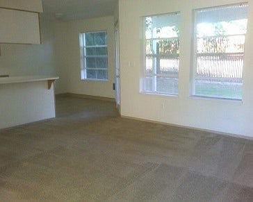 Spacious, Cozy Living Room