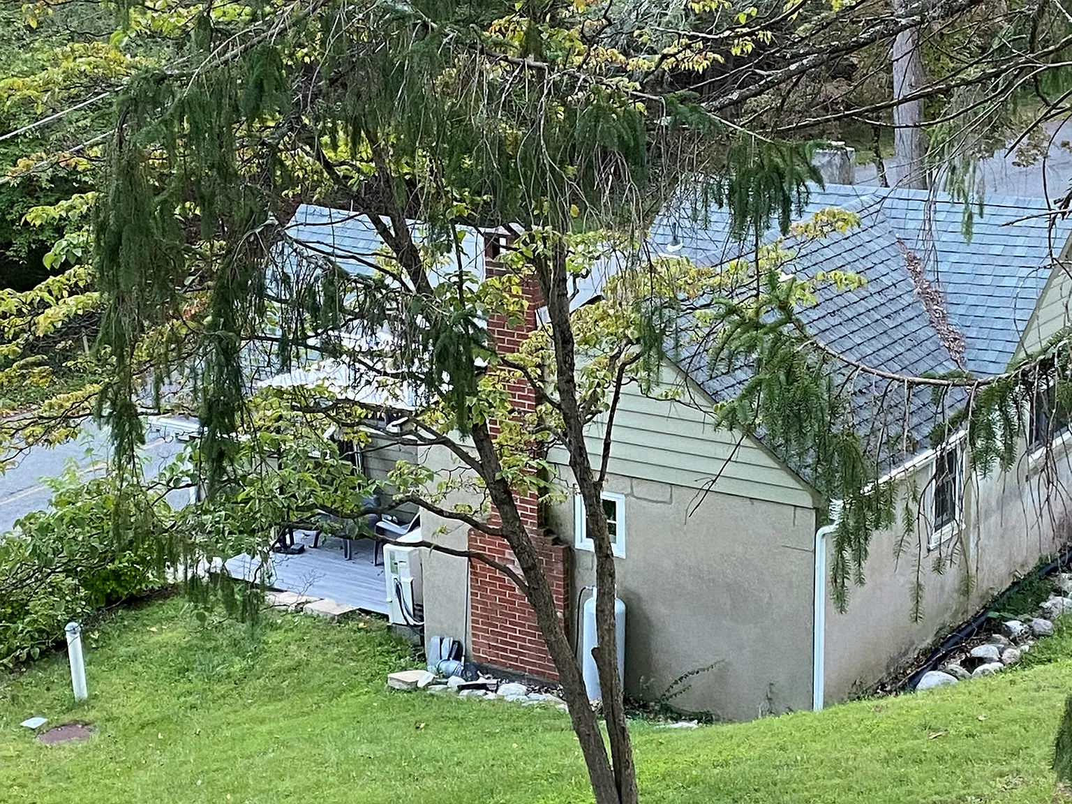 1 bed, 646 sqft, $1,700 — Photo 4