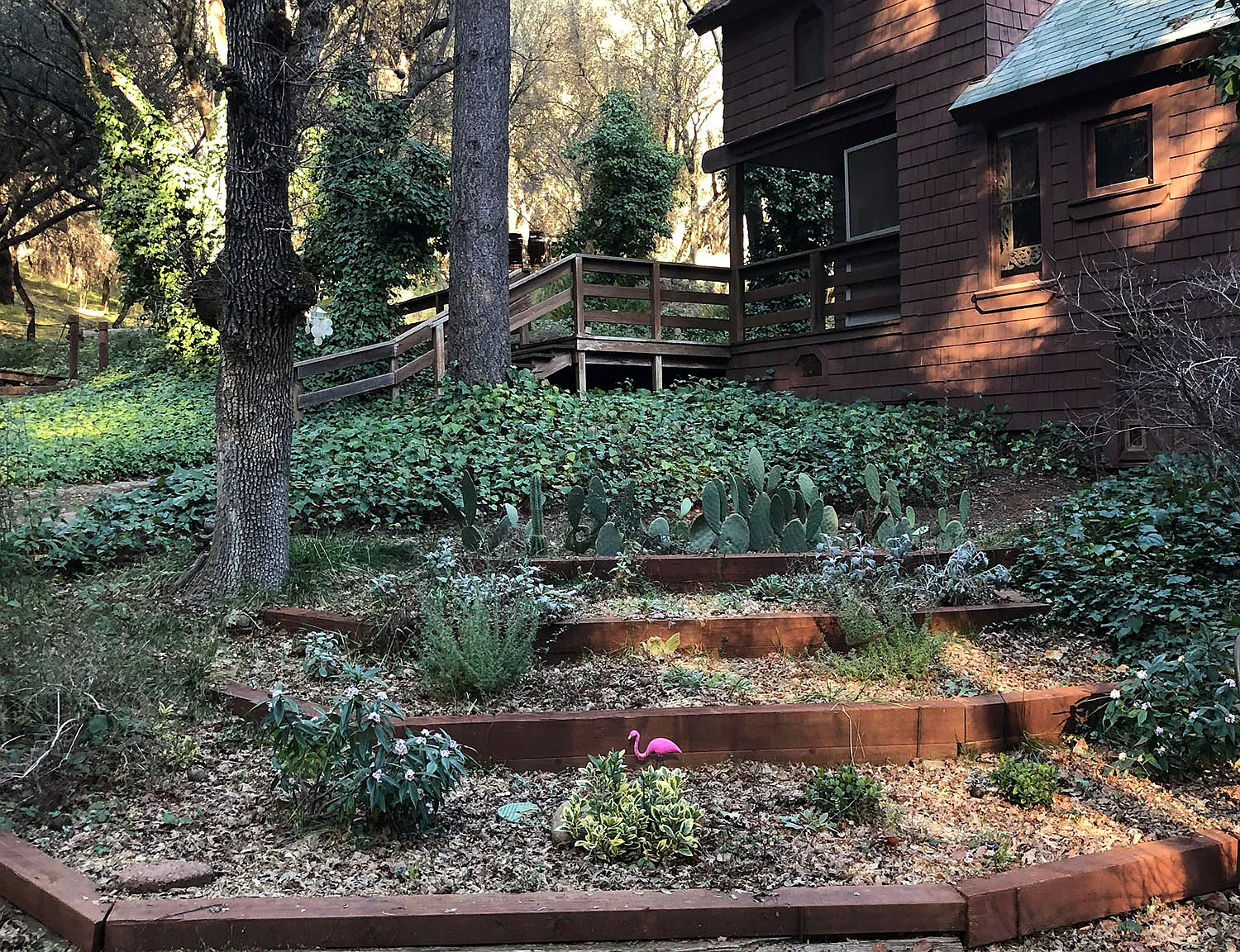 10200 Hideaway Pl — Photo 1