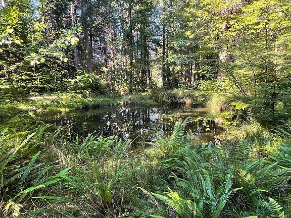 2nd image of 6375 Saint Johns Point Rd