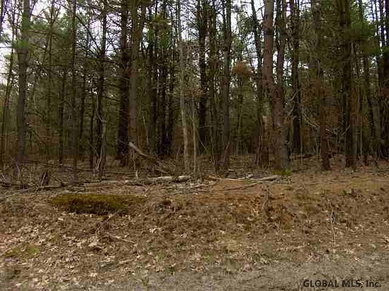 3rd image of 0 PINE HILL Road