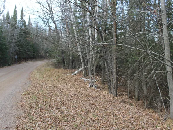 Billings Rd, Hibbing, MN 55746