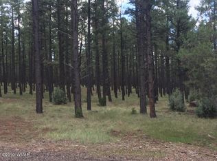 327 Gold Mine Dr, Lakeside, AZ 85929