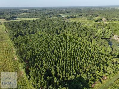 TRACT 1C Oglethorpe Rd, Jesup, GA, 31545