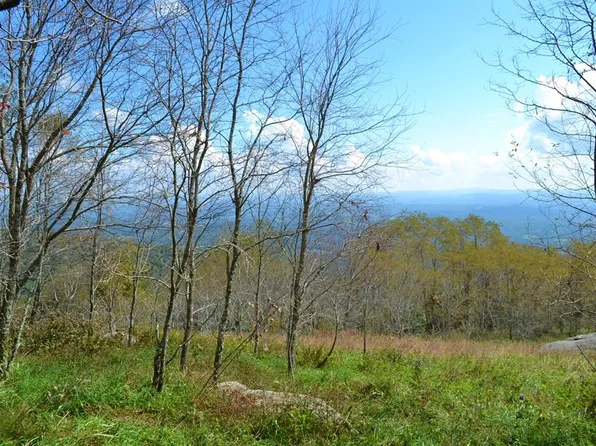 T 5 Running Bear Ct, Independence, VA 24348