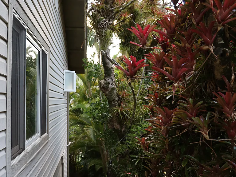 3239 Huelani Dr — Photo 15