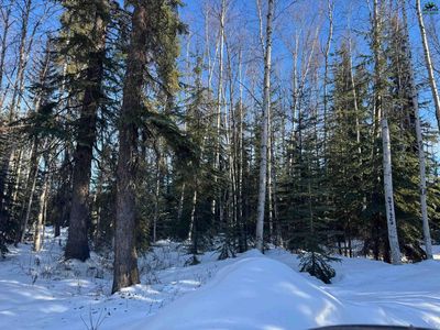 Nhn Spinner Ct, North Pole, AK, 99705