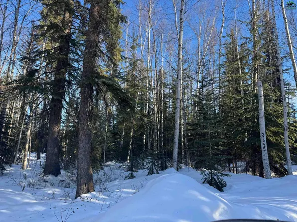 Nhn Spinner Ct, North Pole, AK 99705