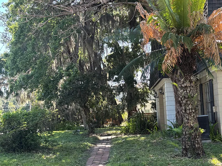 Backyard View
