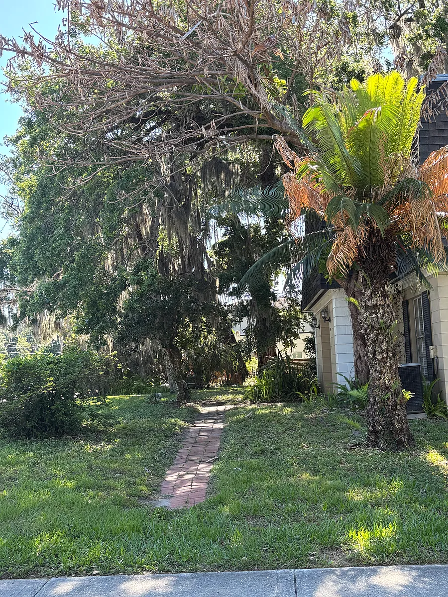 Backyard View - W Princeton St