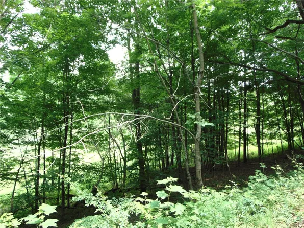 0 County Highway 19, Deposit, NY 13754