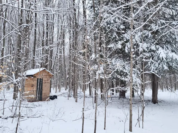 839 2nd Ave NE, Mancelona, MI 49659