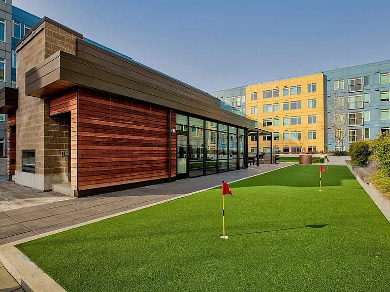 Recreational turf area