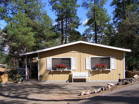 Surrounded by Pines