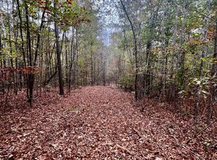 State Highway Hy #22, Daviston, AL 36256