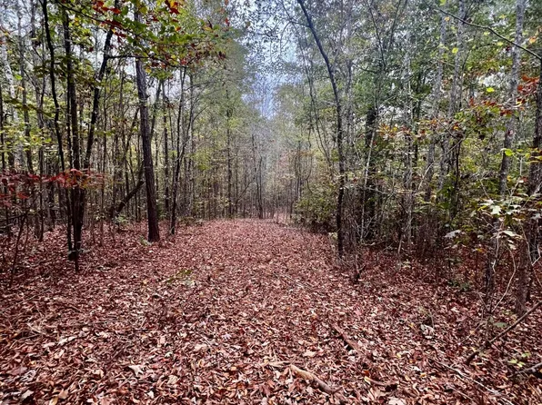 State Highway Hy #22, Daviston, AL 36256