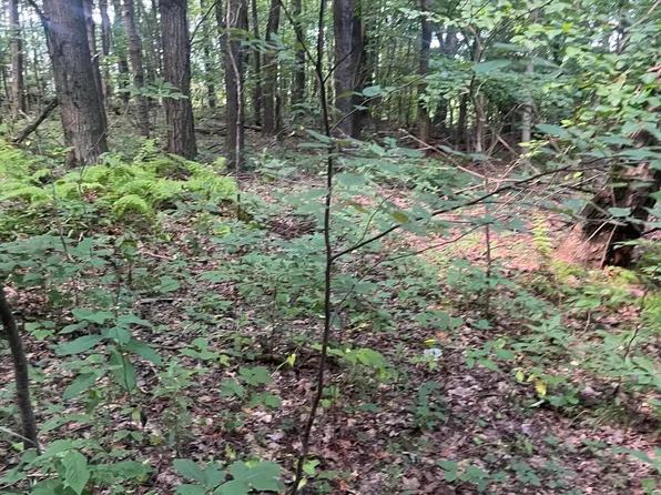 Townview Ln, Claysburg, PA 16625