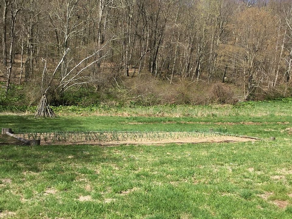 Lovely, level area just waiting for your new home.