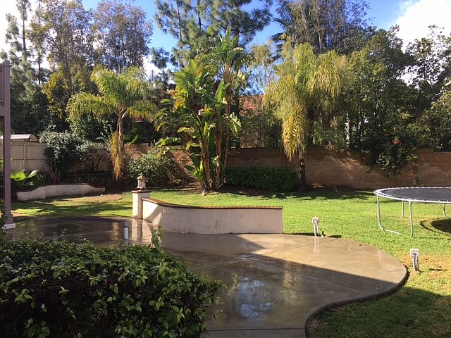 Backyard View