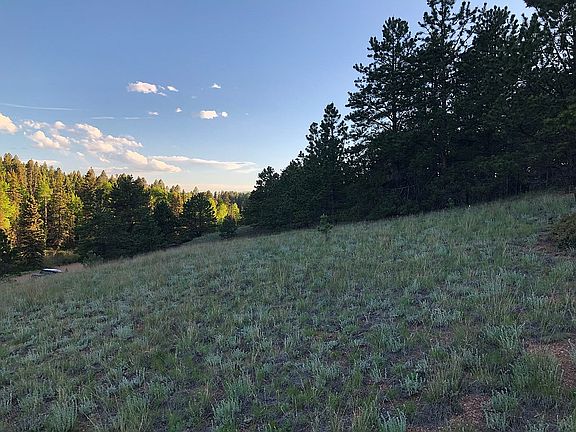 Variety of trees & meadow 
