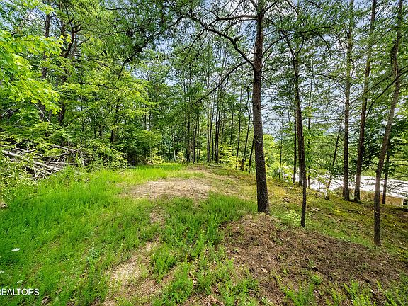 4th image of Huckleberry Way