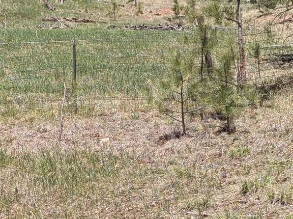 Ute Trl, Woodland Park, CO 80863