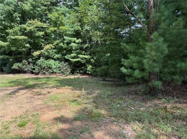 Lot 119 Rich Pine Drive, Purlear, NC 28665