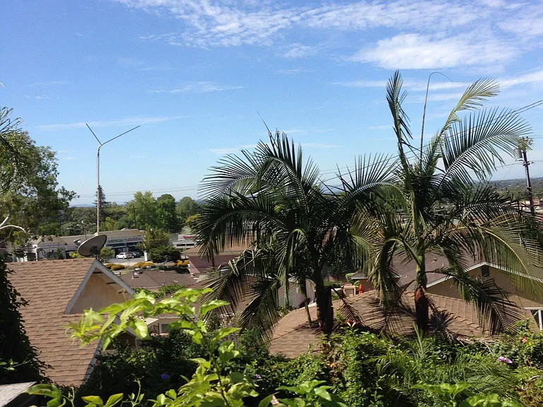 view from yard