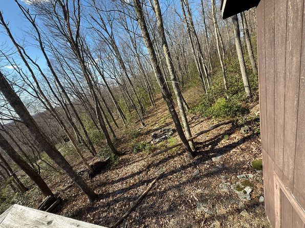 329 Snow Shoe Mountain Forest Rd, Snow Shoe, PA 16874