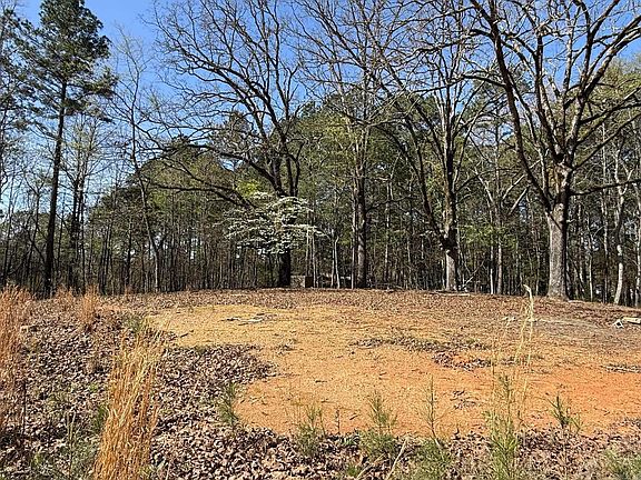 2nd image of Old Bear Rd