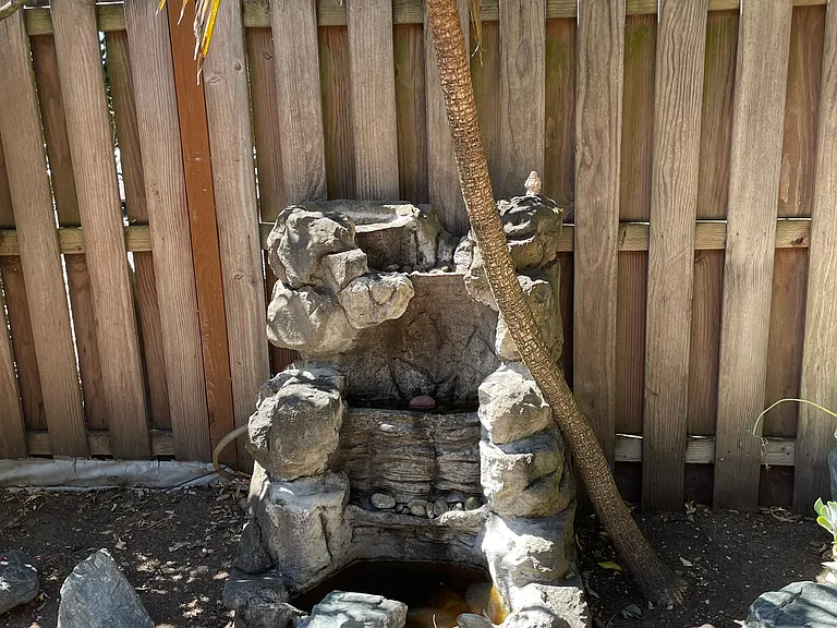1825 Calavaras Dr — Photo 25