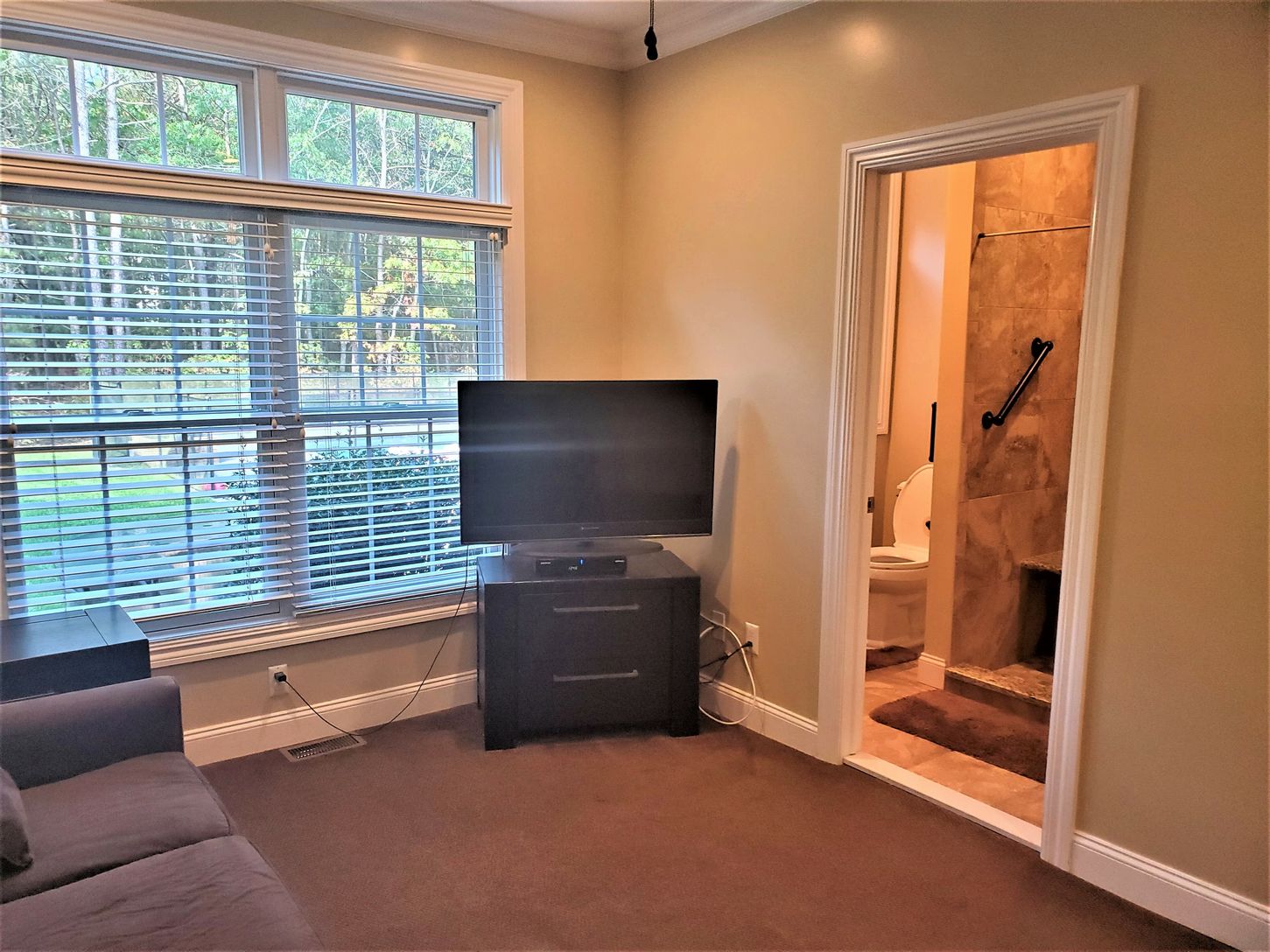  Study (Potential Bedroom)