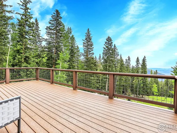 1176 Raven Ridge Rd, Idaho Springs, CO 80452