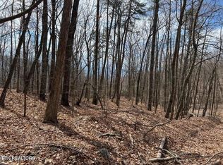 Swann Saddle, Sevierville, TN 37876