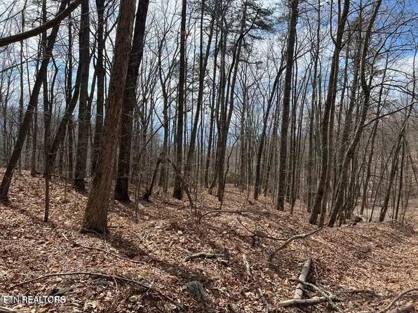 Swann Saddle, Sevierville, TN 37876