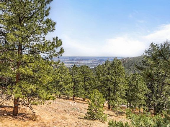 4th image of 61 Wild Horse Cir