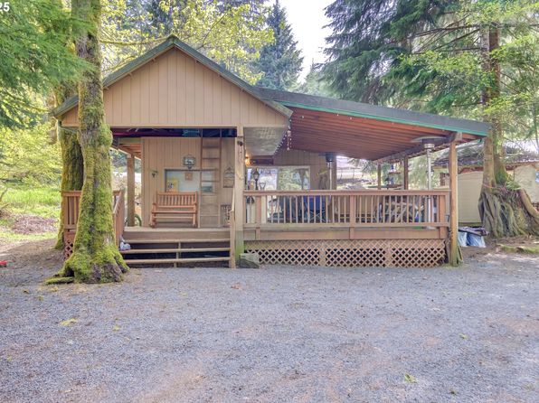24706 NE Columbia Tie Rd #9/54, Amboy, WA 98601