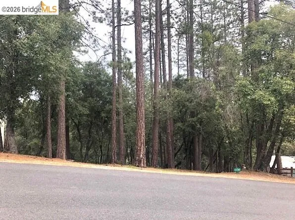 12301 Tower Peak Ct, Groveland, CA 95321