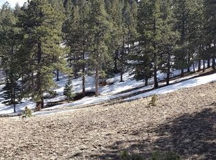 888 Matterhorn Cir N, Westcliffe, CO 81252