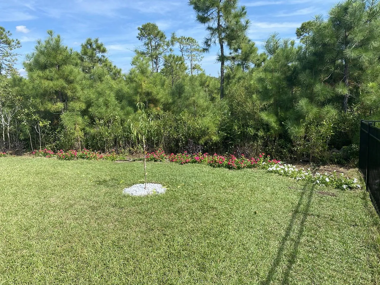 3 bed, 1300 sqft, $1,900 — Photo 4