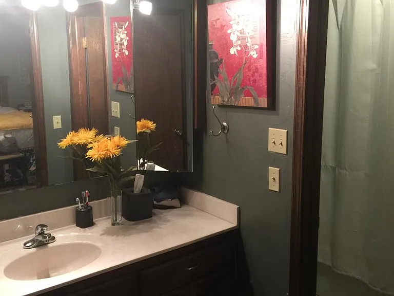 Master bath