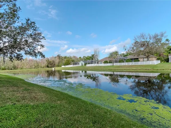 27045 Firebush Dr, Zephyrhills, FL 33544