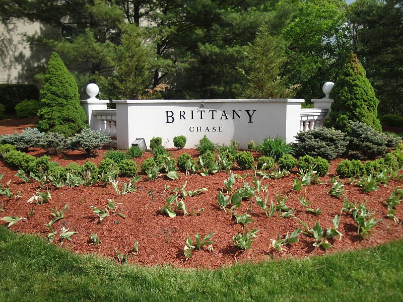 1st image of 523 Brittany Dr