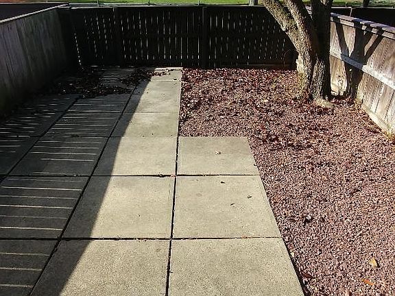 Rear patio