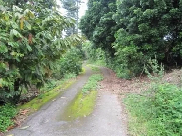 H #0, Kealakekua, HI 96750