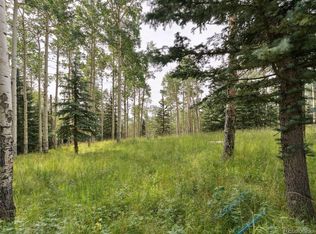 000 Snyder Mountain Road, Evergreen, CO 80439