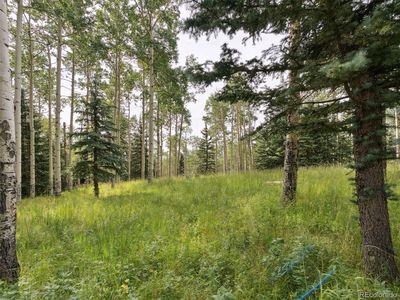 000 Snyder Mountain Road, Evergreen, CO, 80439