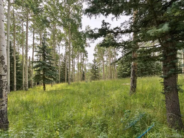 000 Snyder Mountain Road, Evergreen, CO 80439