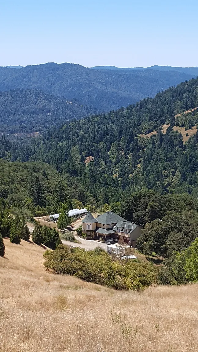 2900 Flat Rock Rd photo 1