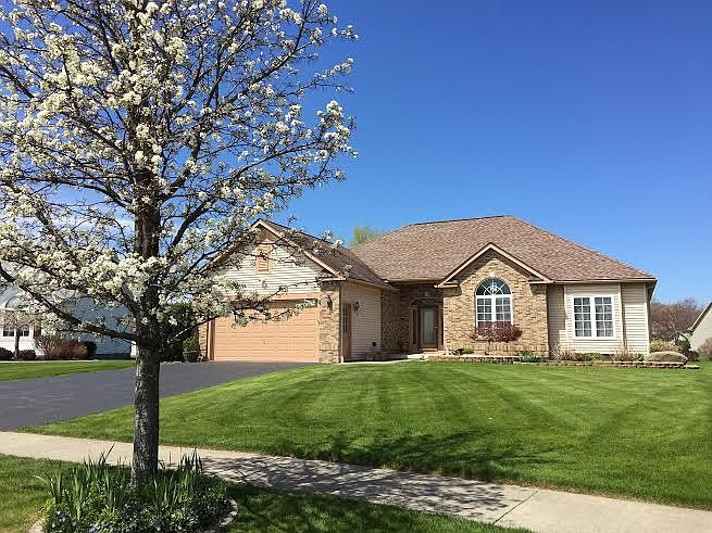 Spring View